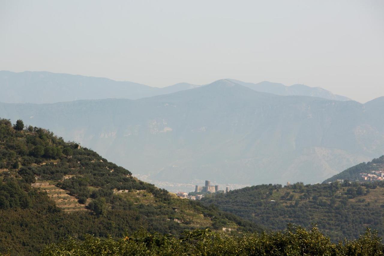 Santangelo &