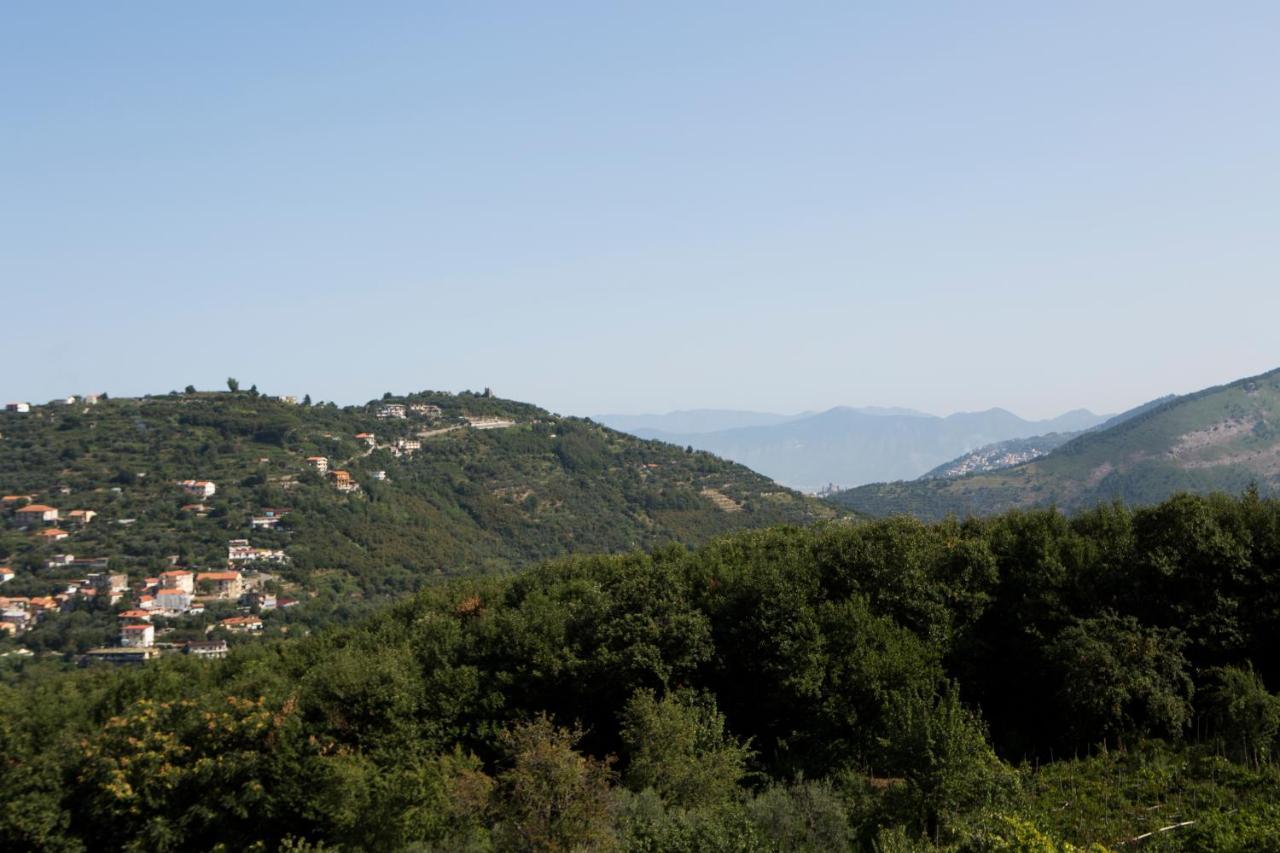Sant'angelo&spa